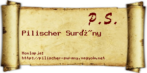 Pilischer Surány névjegykártya